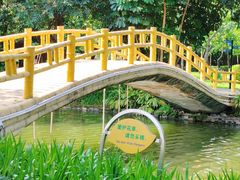 -晓港公园