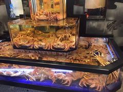 -蟹道乐(道顿堀本店)