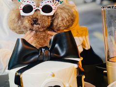 -West10 西拾·西餐厅·创意菜(未来科技城店)