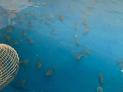 -SHRIMP CLUB万东餐饮钓虾·清吧