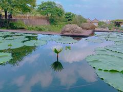 -广州莲花山旅游区