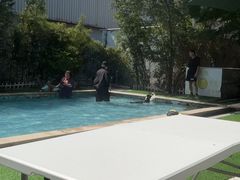 -汪说喵讲宠物乐园宠物酒店(红星美凯龙店)