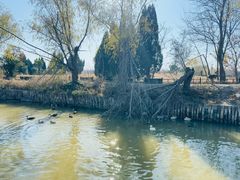 -盐城丹顶鹤湿地生态旅游区