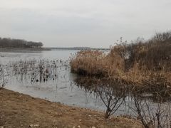 -丁香湖公园