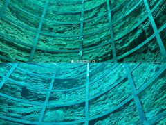 -西峡恐龙遗迹园