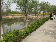 -西青郊野公园
