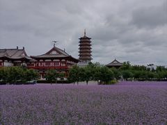-长春北湖公园