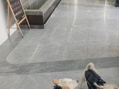 -pd派德宠物中心医院24H急重症·眼科中心·血液透析中心(嵩山北路店)