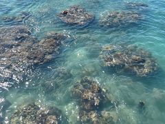 -三亚西岛海洋文化旅游区