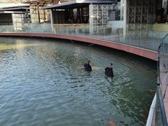 -春晖园度假酒店温泉