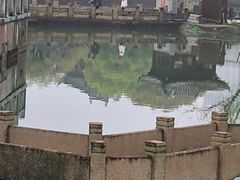 -八大山人梅湖景区