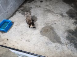 -水八仙生态园