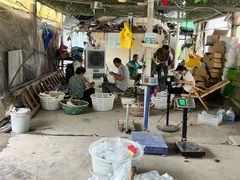 -马陆小张葡萄园农家乐