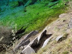 -叠溪松坪沟景区