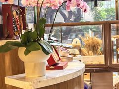 -广州白天鹅宾馆