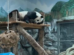 -武汉动物园