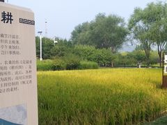 -北坞公园