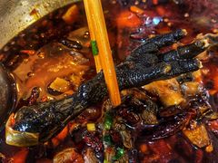 -黑竹香鸡(营和巷店)