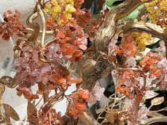 -深圳湾万象城(南山店)