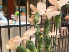 -眉州东坡(民族园店)