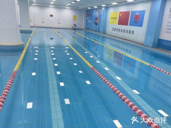 宝德龙游泳健身图片
