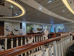 -南航明珠v2头等舱公务舱休息室