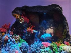 -中国湿地博物馆