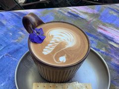 -三忘湖 SWANSEEN(柳荫公园店)