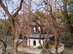 -汇龙潭