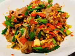 鸭掌筋-壹盏灯(惠农店)