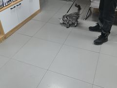 -瑞派宠物医院·24h·骨外科·皮肤科·全科宠物医疗转诊中心(沈阳浑南院)
