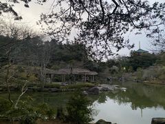 -成田山新胜寺