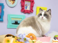 -Oh My Dog宠物沙龙(伊珊娜皮毛护理店)