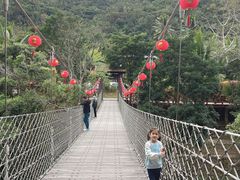 -海南热带雨林国家公园吊罗山景区