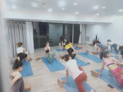 -莫纳瑜伽·普拉提