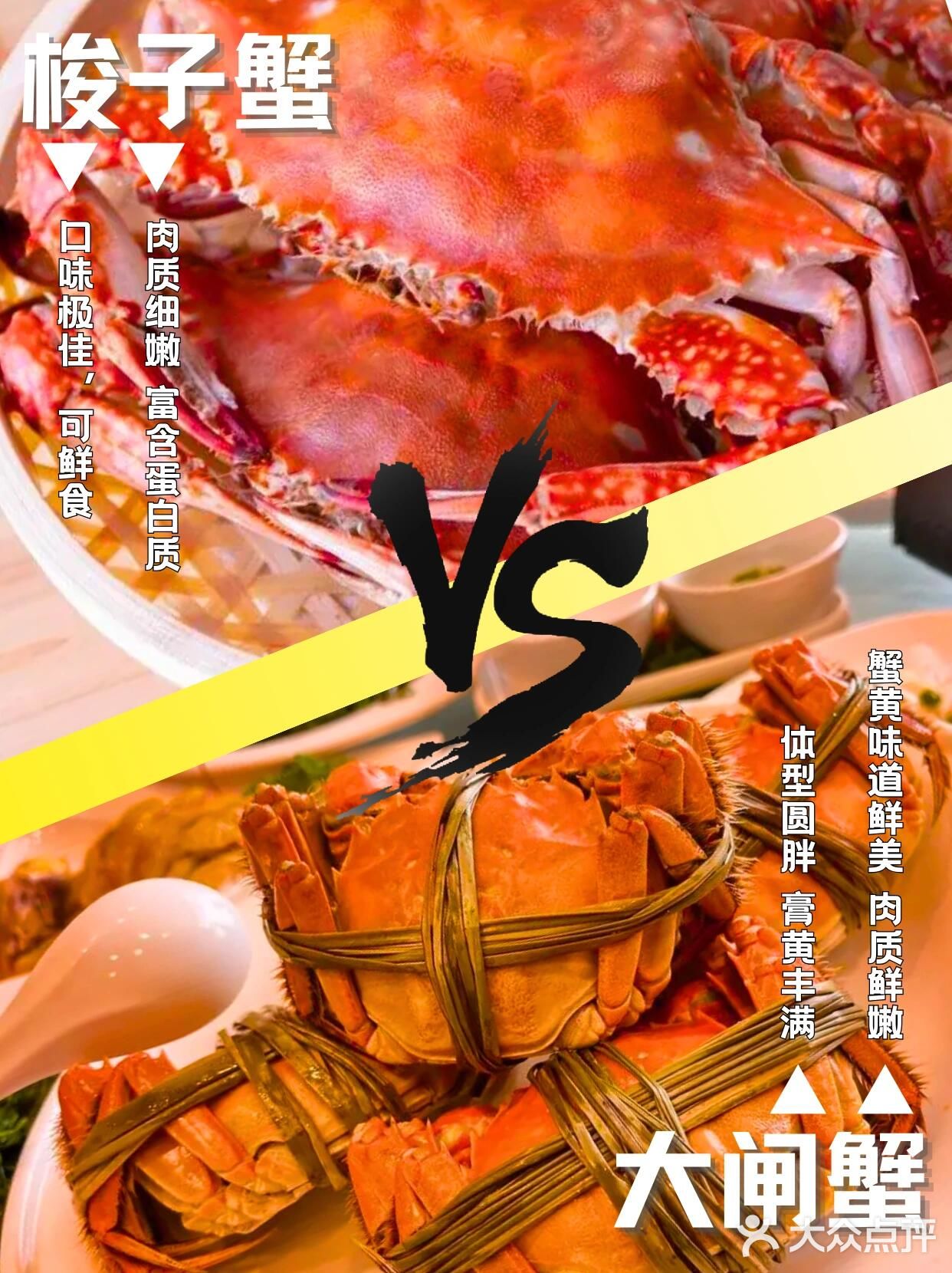大闸蟹vs梭子蟹