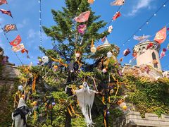 -大连海昌发现王国主题公园