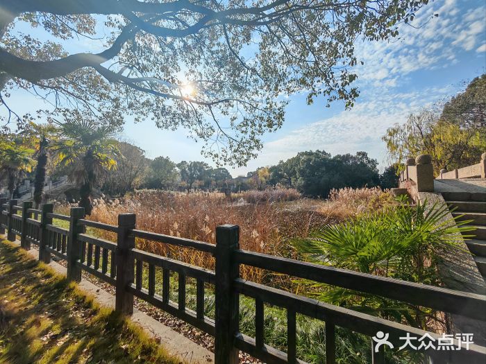 韩湘水博园图片