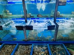 -老东镇啤酒屋海鲜加工·蒸汽海鲜·海鲜烧烤(台东店)