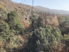 -紫金山天文台