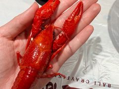 -巴厘龙虾·榜首油焖大虾(沙湖·花园店)