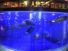 -潇湘码头·鲜湘菜(清河店)