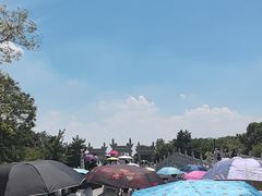-观潮胜地公园