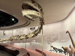 -自贡恐龙博物馆