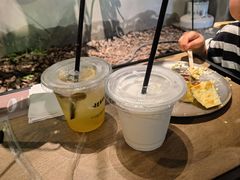 -J Create城市露营咖啡·简餐·宠物(上海动物园店)