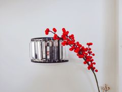 -西山人家·二十年老字号农家菜(旺山店)