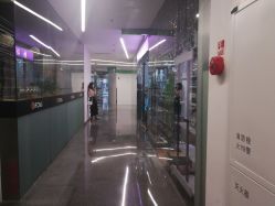 -染指坊日式美甲美睫设计中心