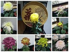 -汇龙潭