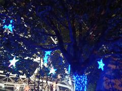 -锦江乐园舞狸花花游园会(夜场专享)