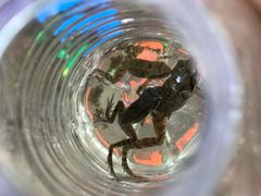 -白水寺森林公园